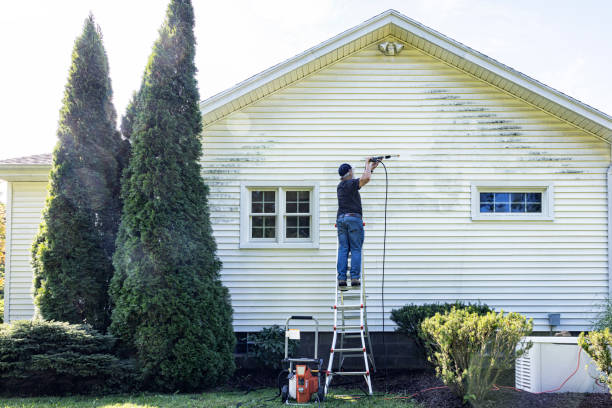 Best Residential Pressure Washing in Baudette, MN